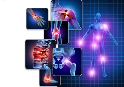 Massage Bấm Huyệt + Giải Cơ Trị Liệu Chuyên Sâu Từng Vùng