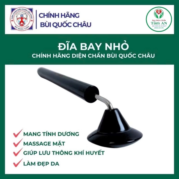 Đĩa bay nhỏ