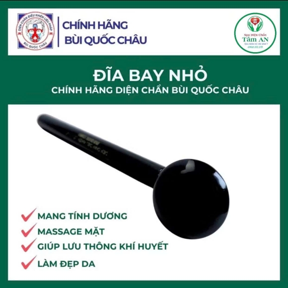 Đĩa bay nhỏ