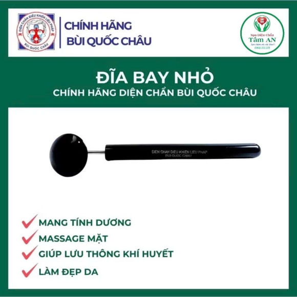 Đĩa bay nhỏ