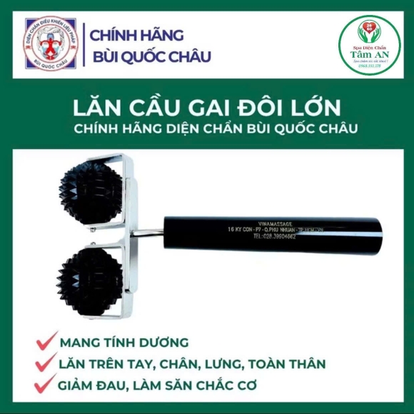 Lăn cầu gai đôi lớn