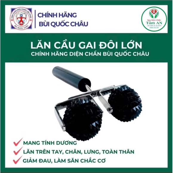 Lăn cầu gai đôi lớn