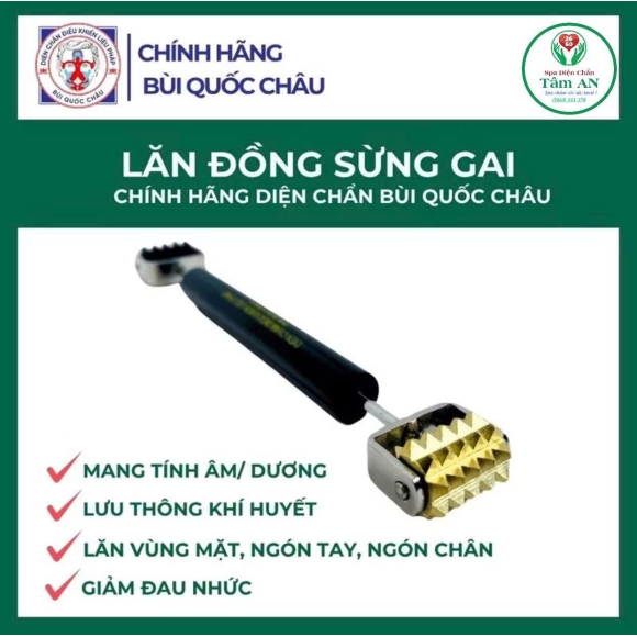 Lăn đồng sừng gai