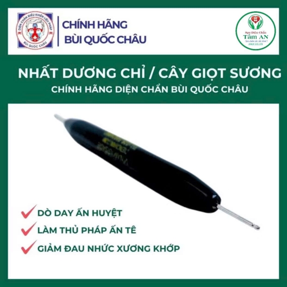 Nhất dương chỉ / Cây giọt sương