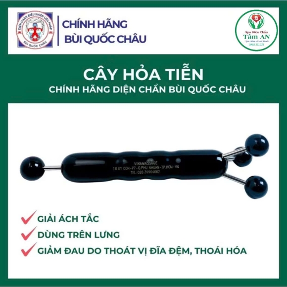 Cây hỏa tiễn