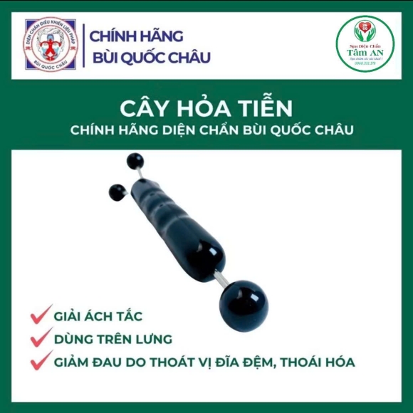 Cây hỏa tiễn