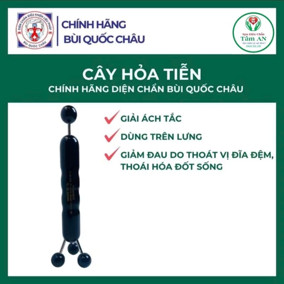 Cây hỏa tiễn