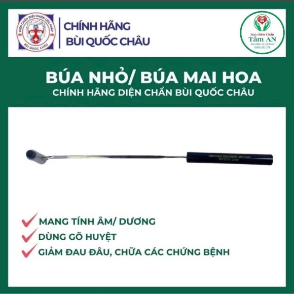 Búa nhỏ / Búa mai hoa